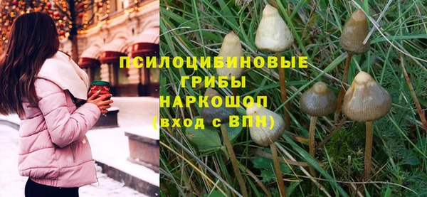 прущая мука Богородицк