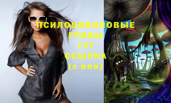 прущая мука Богданович